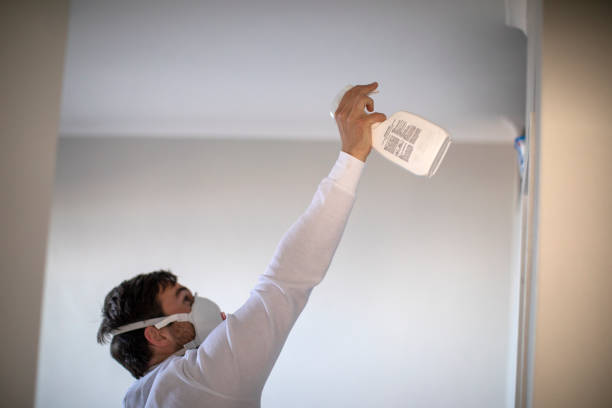 Best Certified Mold Removal  in Riverdale Park, MD