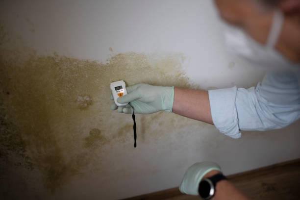 Riverdale Park, MD Mold Removal Company